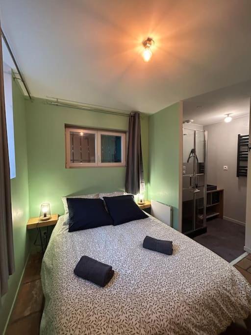 Le Cosy Balat Biel Rdc Jardin Spacieux Grisolles  Экстерьер фото