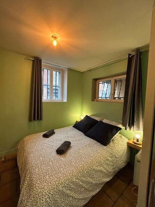 Le Cosy Balat Biel Rdc Jardin Spacieux Grisolles  Экстерьер фото